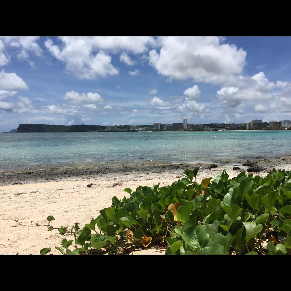 Meet your Posher, Portia