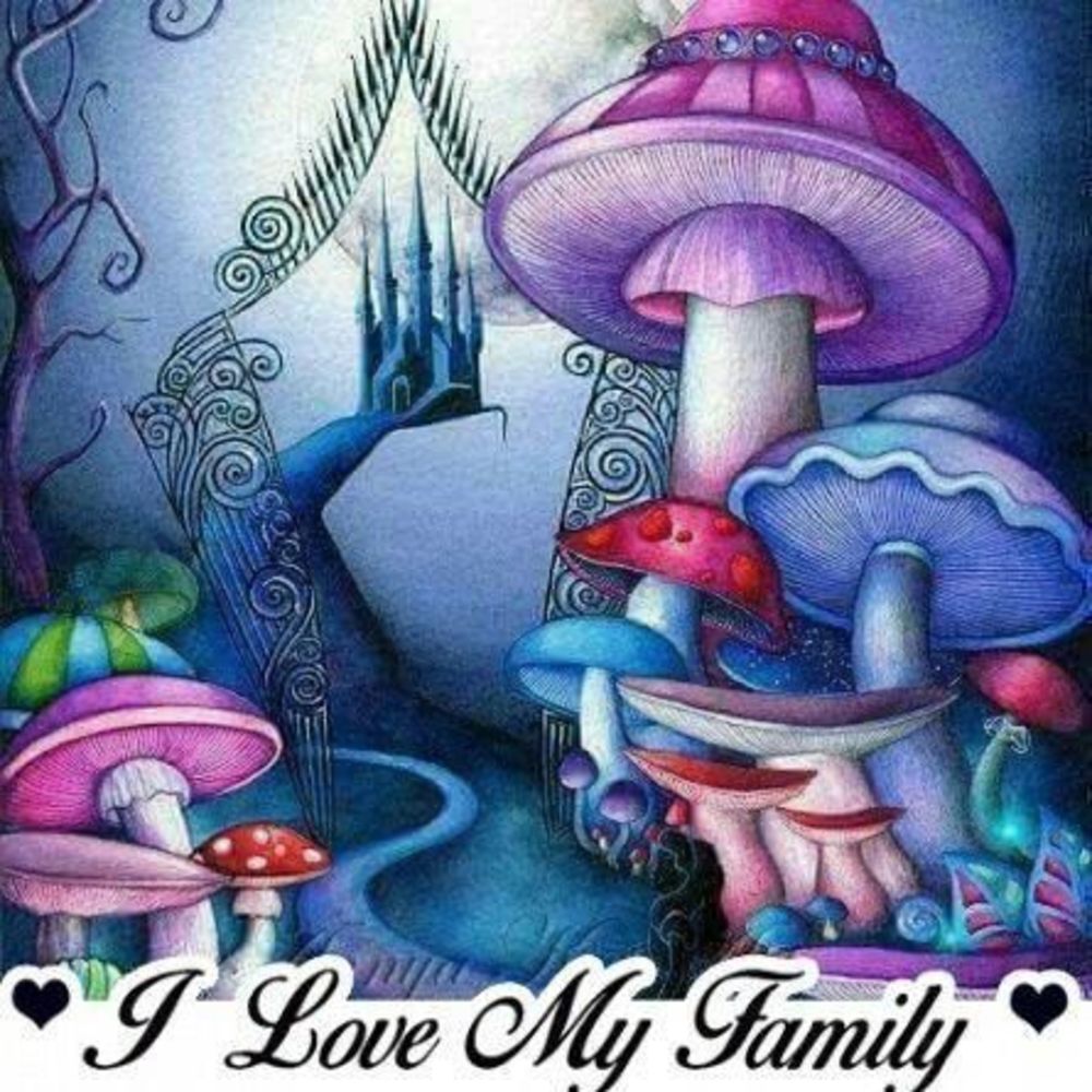 Meet your Posher, Missy