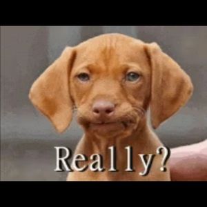 Meet your Posher, Pascal