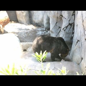 Meet your Posher, Graciela