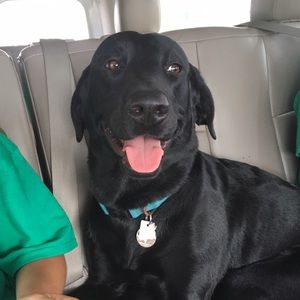 Meet your Posher, Hannah