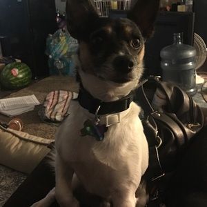 Meet your Posher, Rachael