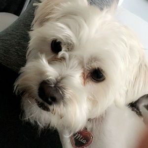 Meet your Posher, Rosemary