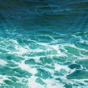 Meet your Posher, Daria