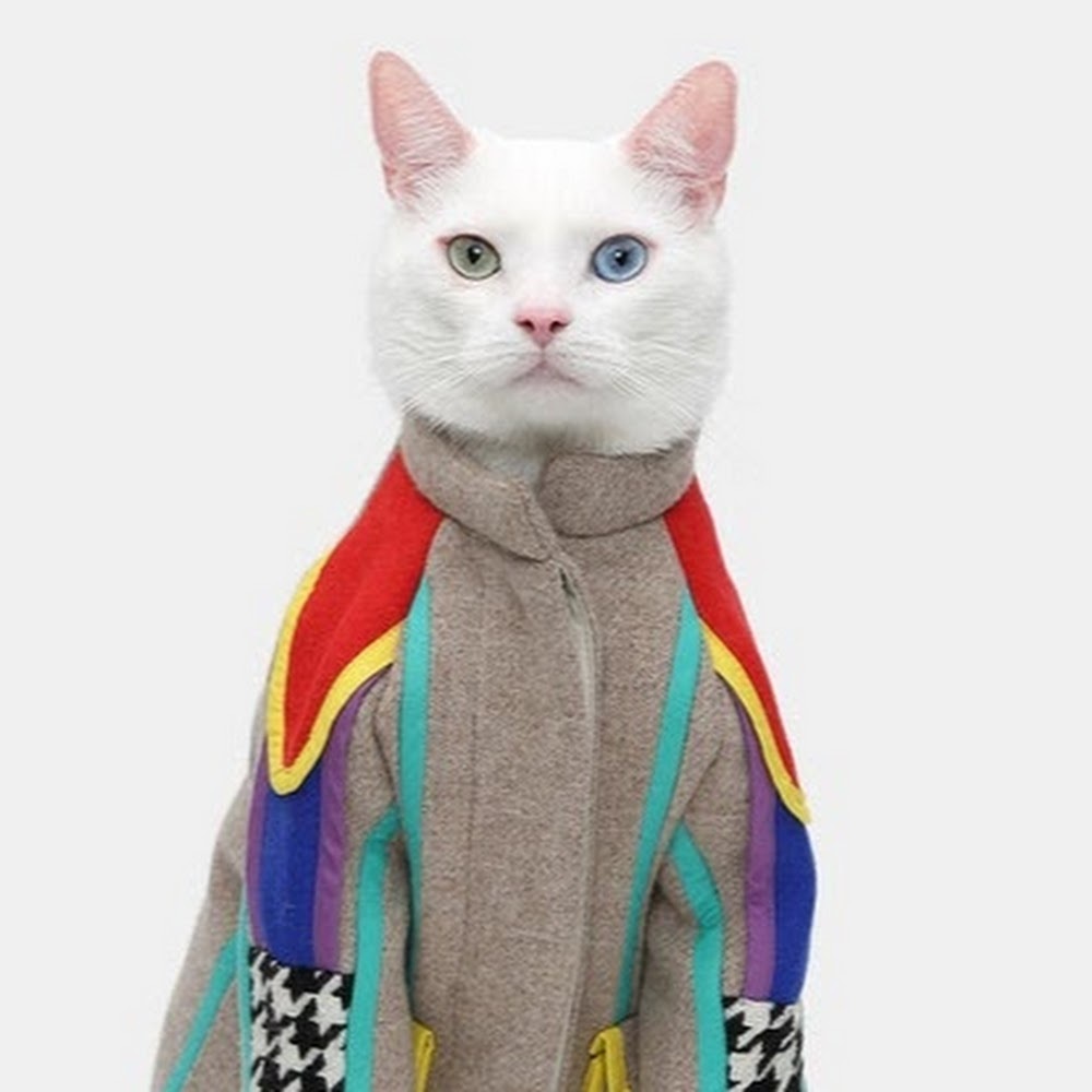 Meet your Posher, Jen