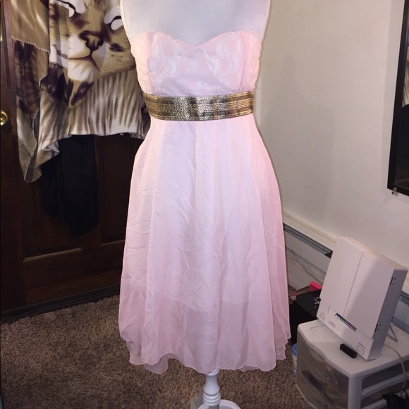 Dresses & Skirts - $$3 for $25$. Pink sheer dress w/slip lace top and gold accent