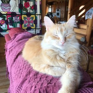 Meet your Posher, Faith