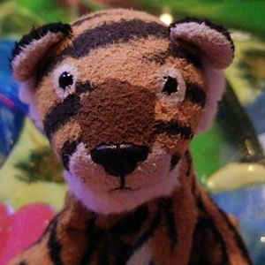 Meet your Posher, Brandy