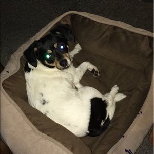 Meet your Posher, Jesse