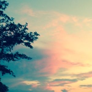 Meet your Posher, Irene