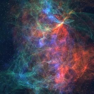 Meet your Posher, Ty