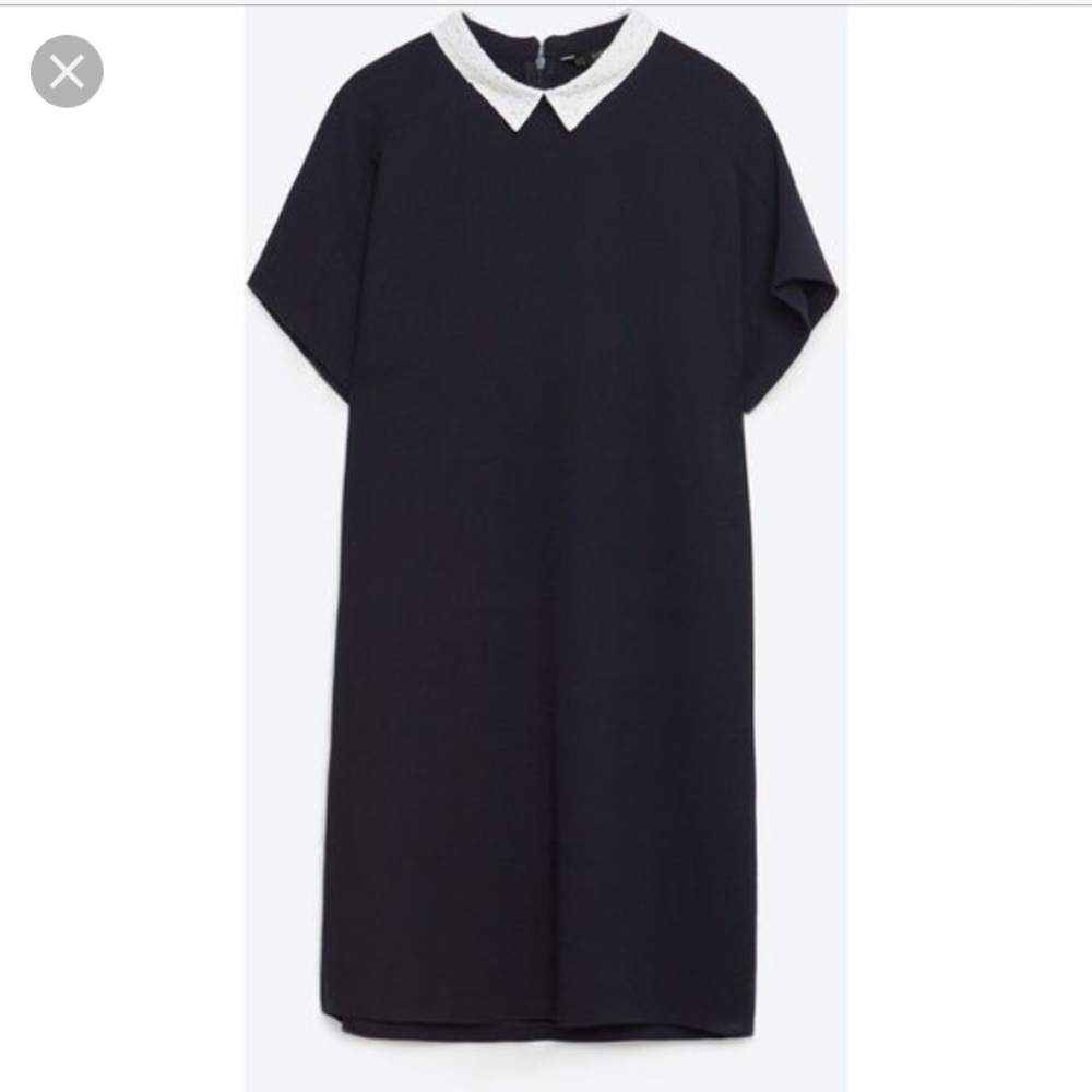 Zara XS collar dress