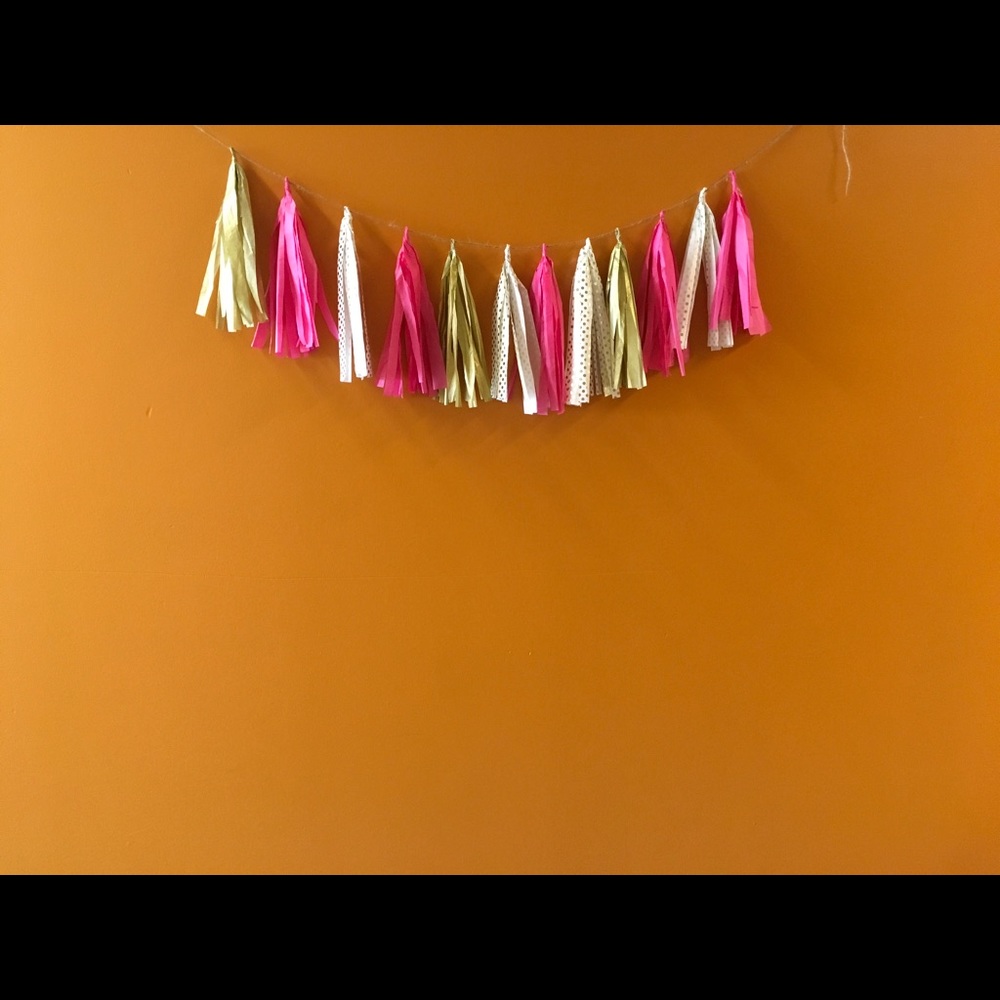 Multi-colored tassel garland!
