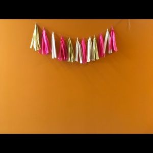 Multi-colored tassel garland!