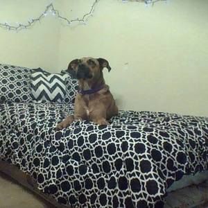 Meet your Posher, Taryn