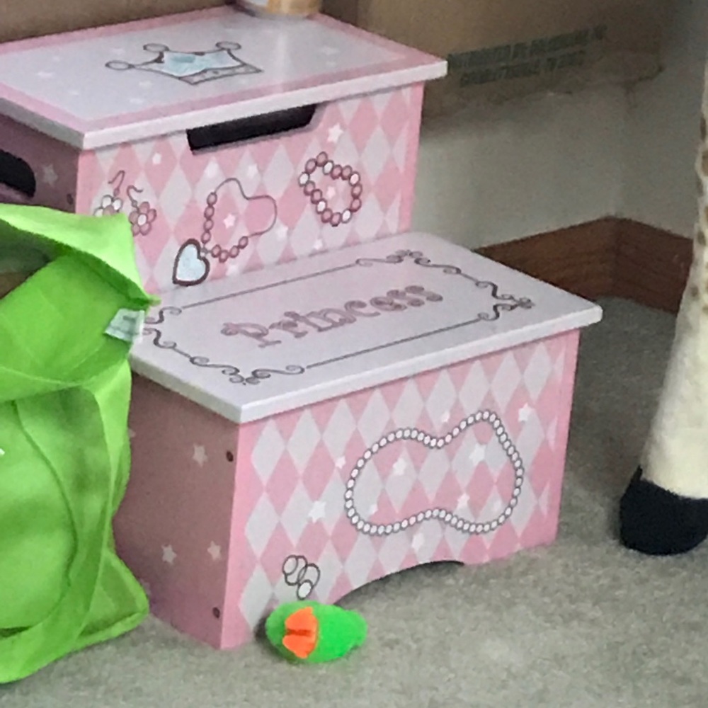 Princess step stool
