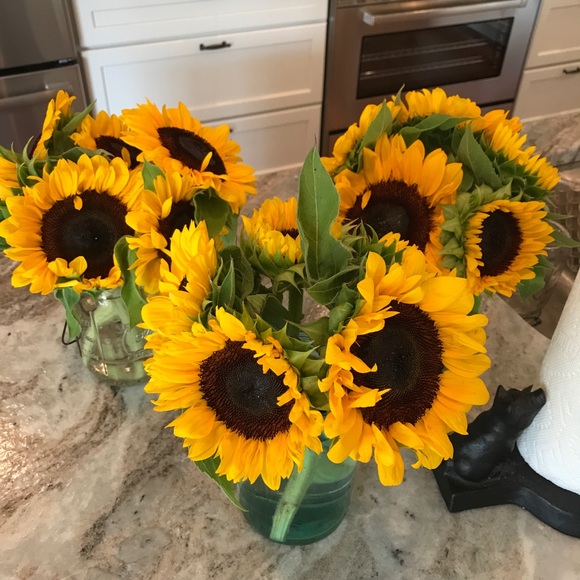 Meet your Posher, Amanda - Picture 2 of 2