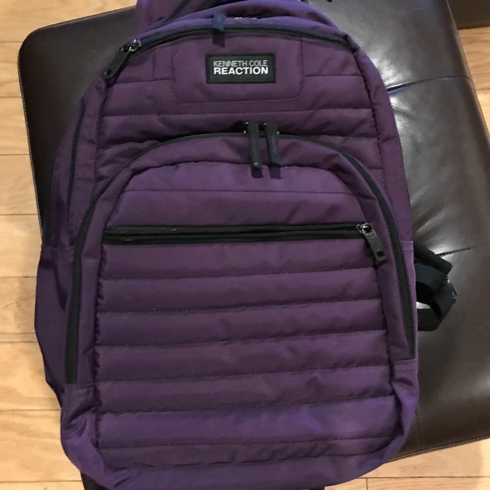 Kenneth Cole Purple laptop backpack
