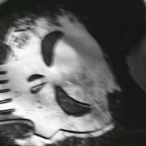 Meet your Posher, Elise