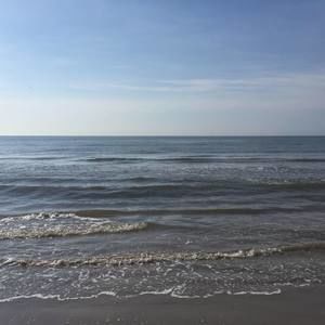 Meet your Posher, Jenn