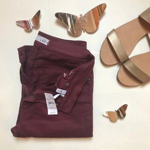 NWT Ann Taylor Loft Burgundy Denim