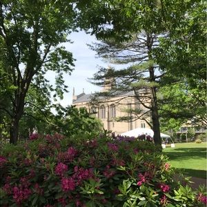 Meet your Posher, Luke