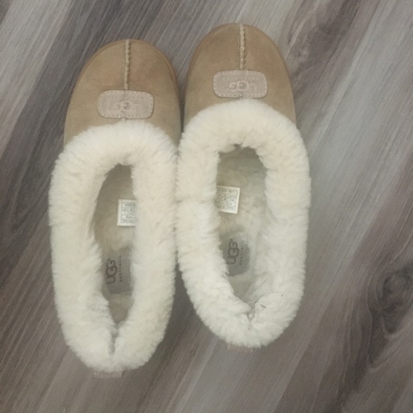 UGG Shoes - Ugg shoes