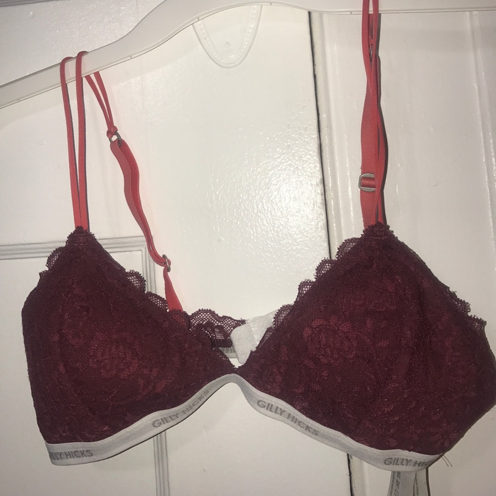 Gilly Hicks bralette