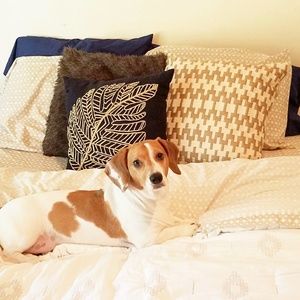 Meet your Posher, Chelsey