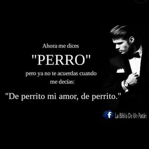 Meet your Posher, Alan