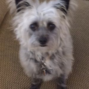 Meet your Posher, Mindy