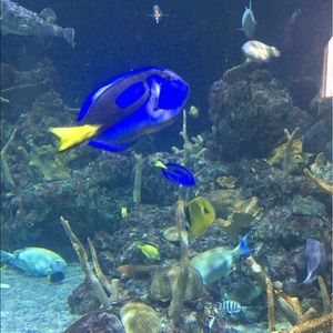 Meet your Posher, Bria