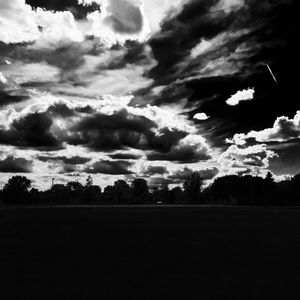 Meet your Posher, Devon