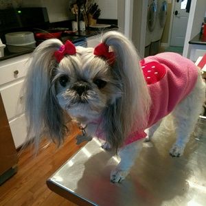 Meet your Posher, Dawn