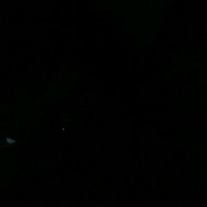 Meet your Posher, Margo