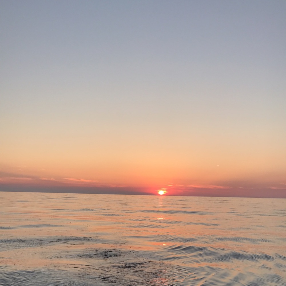 Meet your Posher, Mia