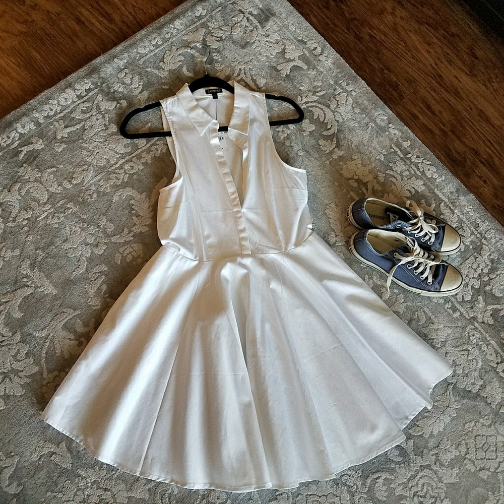 Express Swing Dress
