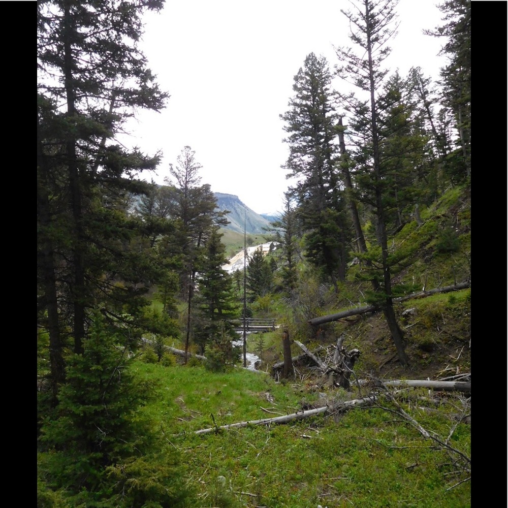 Meet your Posher, Diane