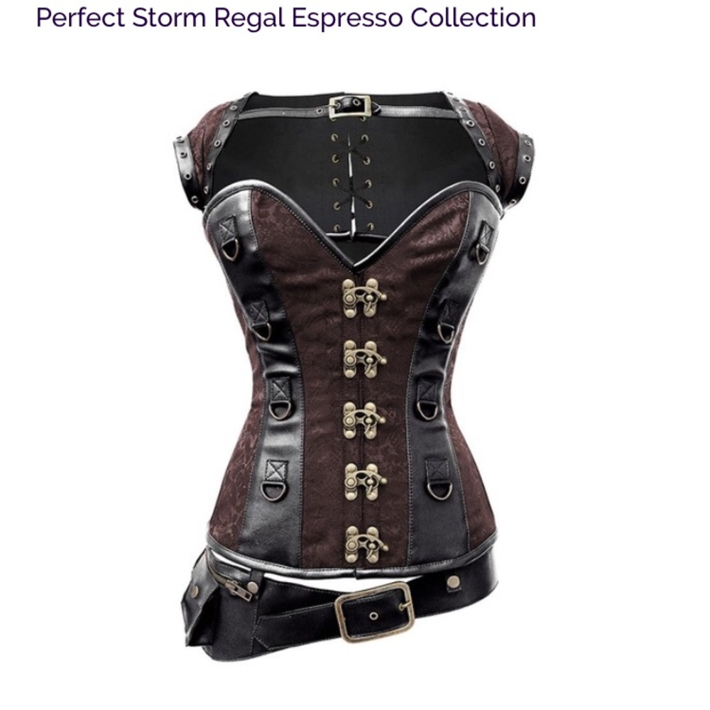 Storm Espresso Steampunk Corset