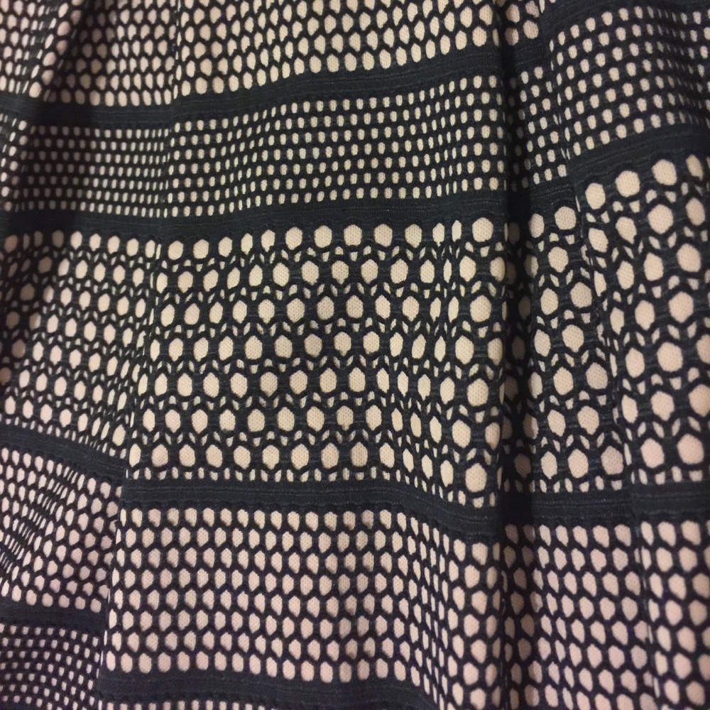 Francesca's Collection Dress - Picture 3 of 3