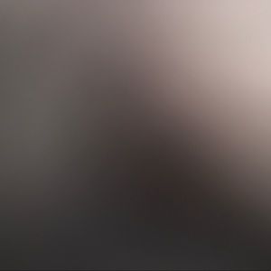 Meet your Posher, Hollie