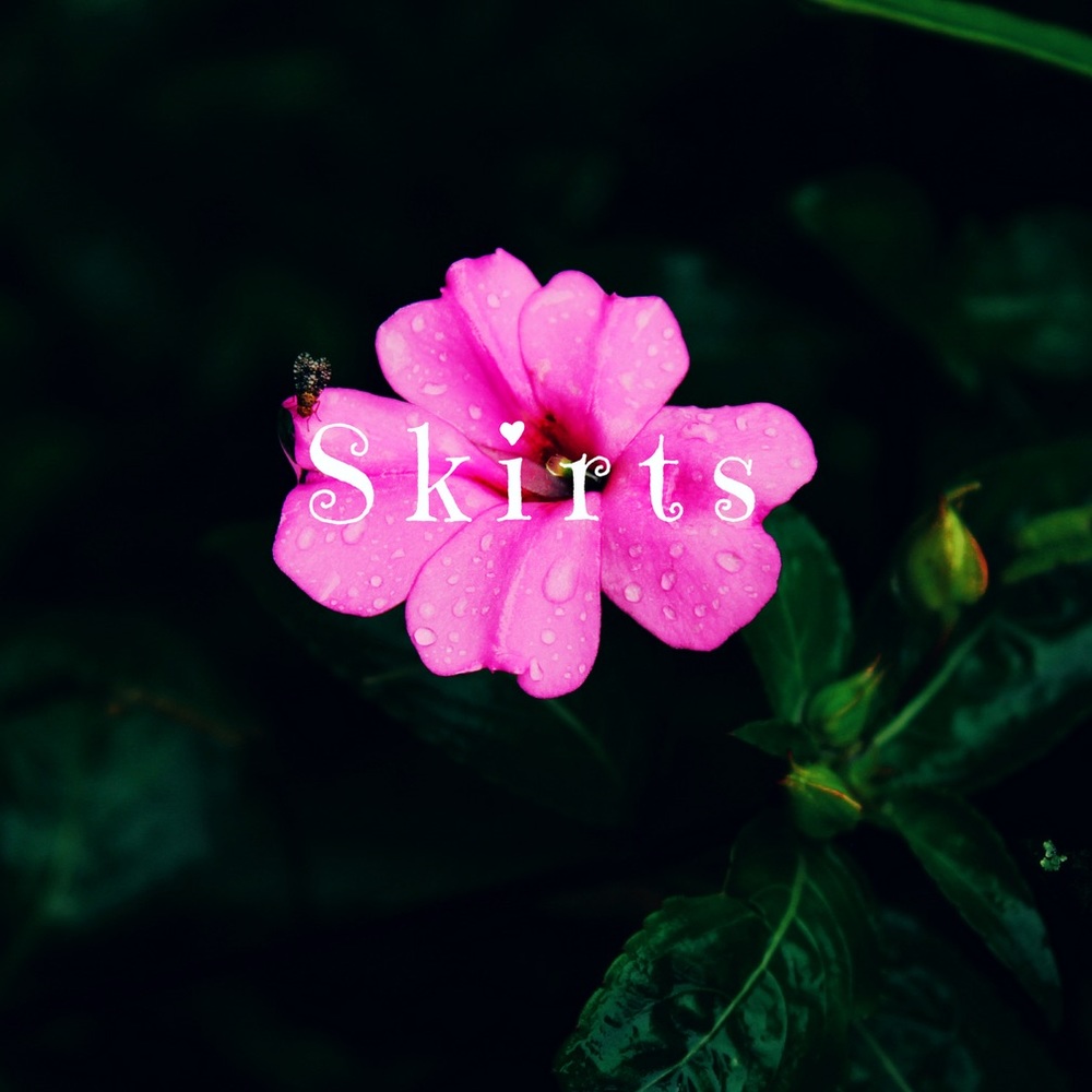 🌸Skirts🌸