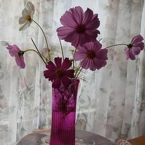 Meet your Posher, Lazanne