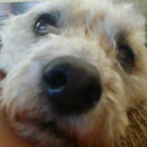 Meet your Posher, Meghan