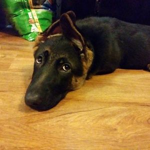 Meet your Posher, Brandy