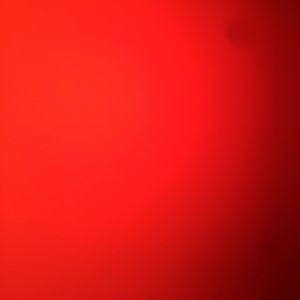 Meet your Posher, Bradley