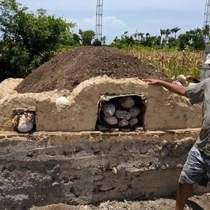 Meet your Posher, Ellen