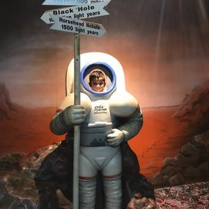 Meet your Posher, Sadath