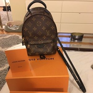 authentic palm springs mini