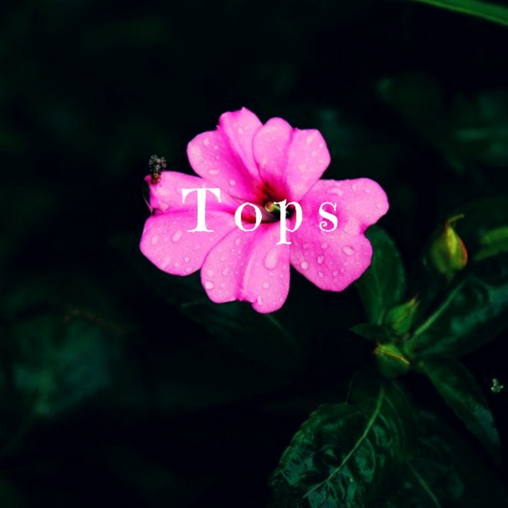 🌸Tops🌸